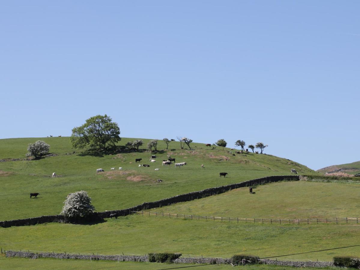 Holly Villa Ulverston Bagian luar foto