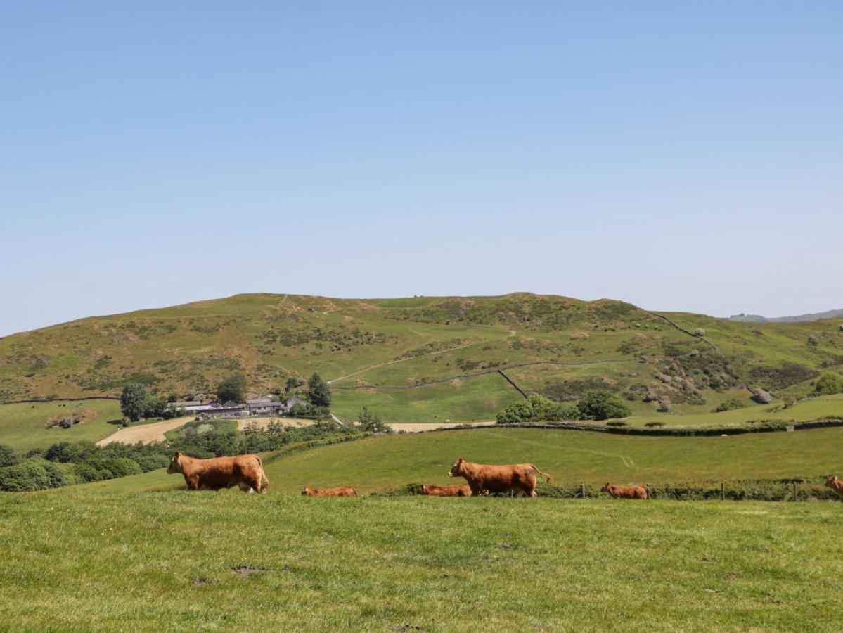 Holly Villa Ulverston Bagian luar foto